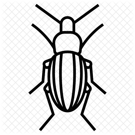 512x512 Collection Of Free Beetle Drawing Ground Download On Ui Ex