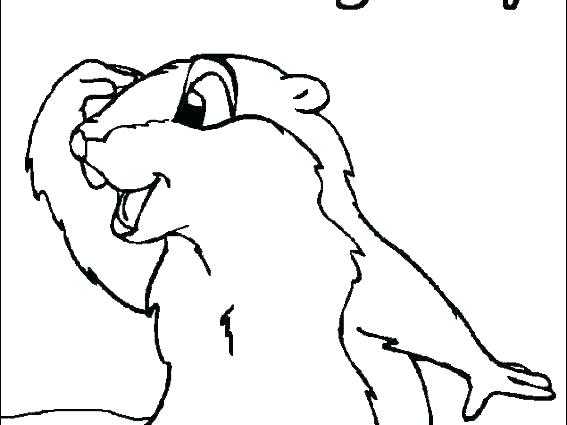 567x425 ground hog coloring pages a the woodchuck coloring pages for adult