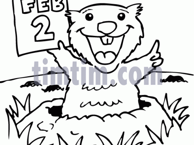 640x480 Groundhog Clipart Drawn