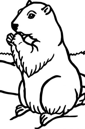 300x452 Groundhog Coloring Pages Preschool