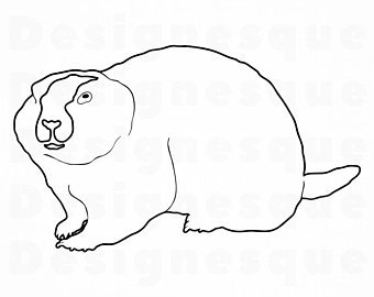 340x270 Groundhog Etsy