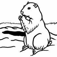200x200 Groundhog Clip Art Cc