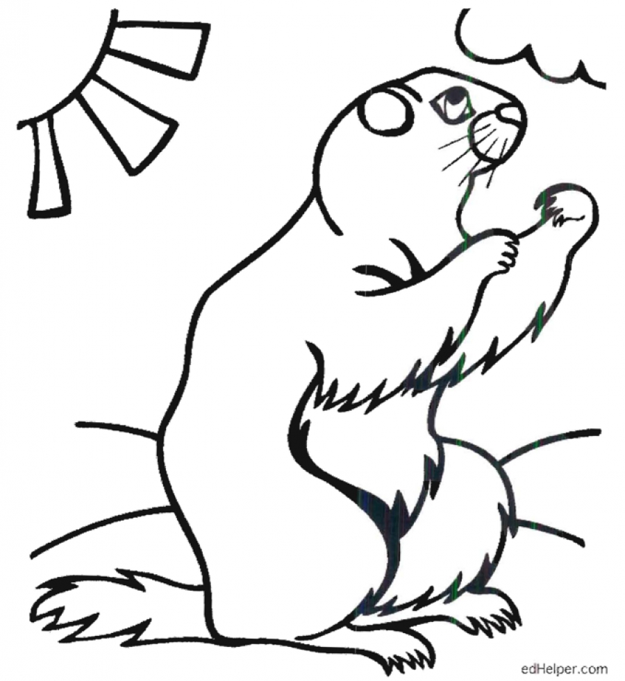 Groundhog Line Drawing Free download on ClipArtMag