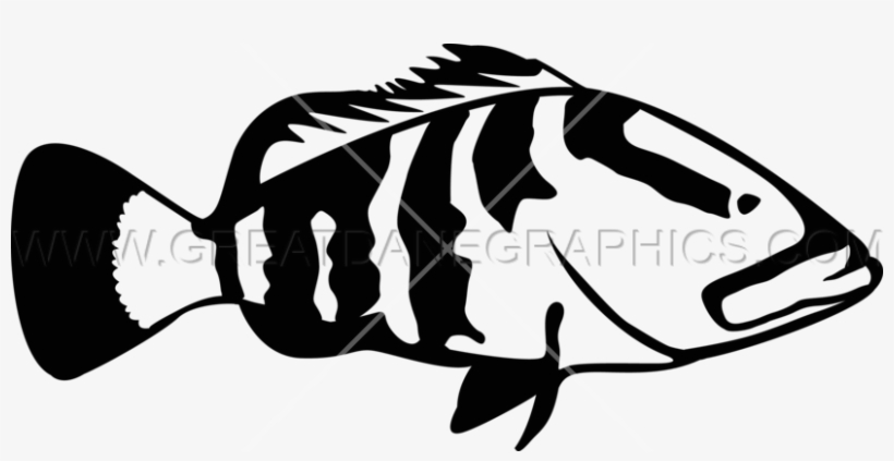 820x423 grouper clipart funky fish