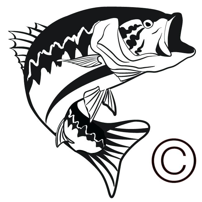 650x650 bass drawing grouper for free download
