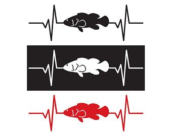 340x270 grouper decal etsy