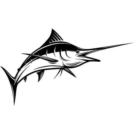 570x570 sailfish drawing sail fish for free download
