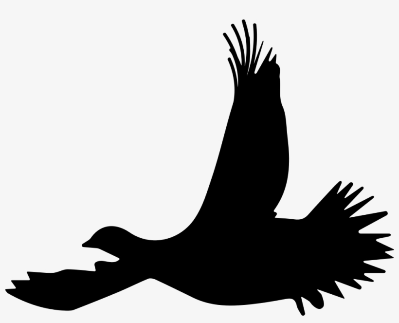 820x663 Grouse Bird Flying Silhouette