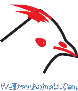 300x350 How To Draw A Ruffed Grouse