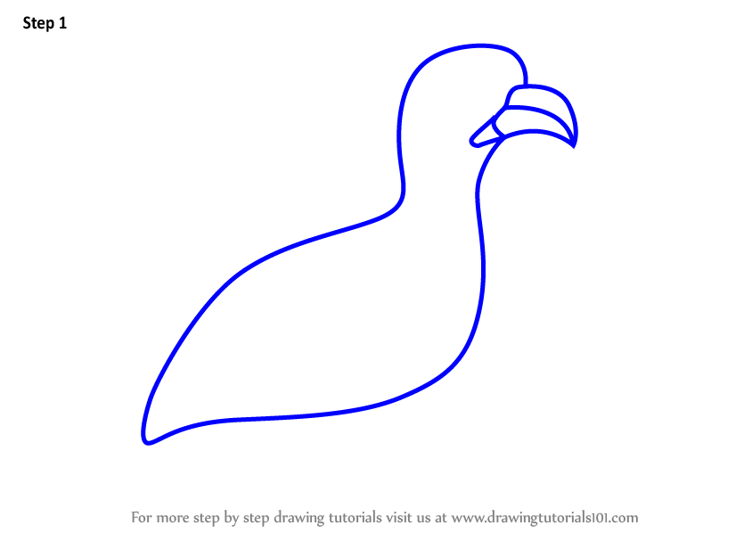 844x598 Learn How To Draw A Grouse Bird For Kids