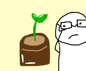 300x250 Watching Plants Grow Is Fun D