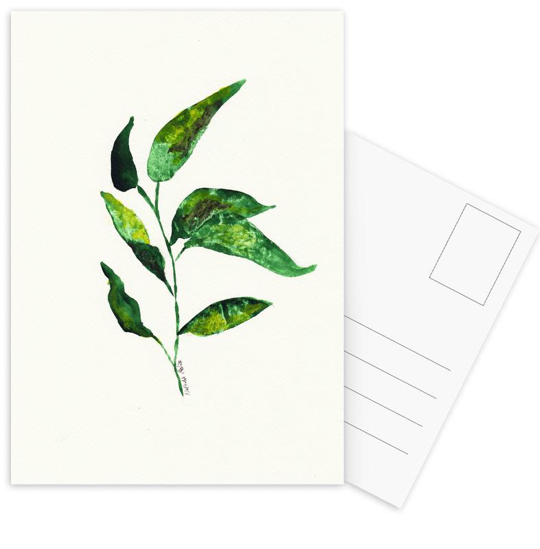 787x800 Growing Plant As Postcard Set