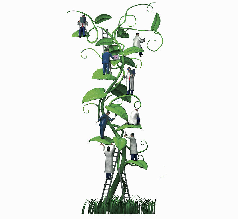 900x829 Scientists And Businessmen Examining Large Growing Plant