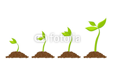 400x267 Simple Sprouting Seed Drawing Sprout, Plant, Tree Growing