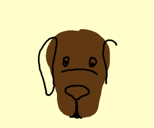 300x250 Free Draw Pio