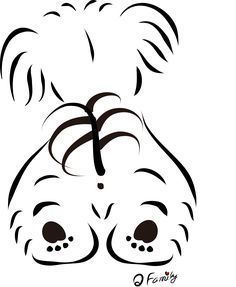 236x287 quizzical havanese