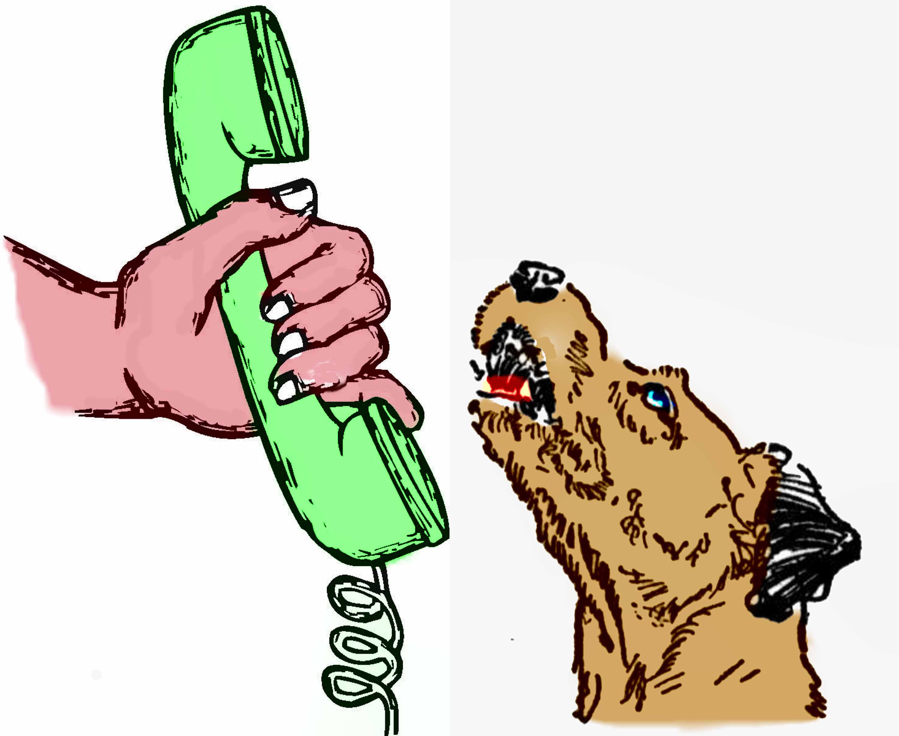 3000x2456 What Are Dogs Trying To Say When They Bark Psychology Today