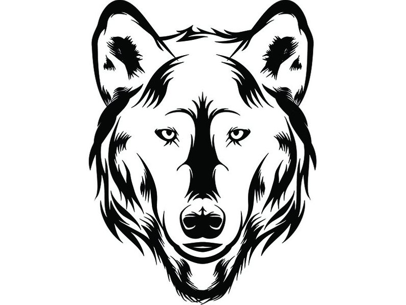 794x597 Wolf Wild Animal Mascot Head Growling Cartoon College High Etsy