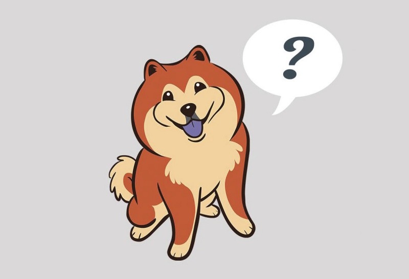 800x546 Ispeak Dog Website Explains Dog Language To Users The Bark