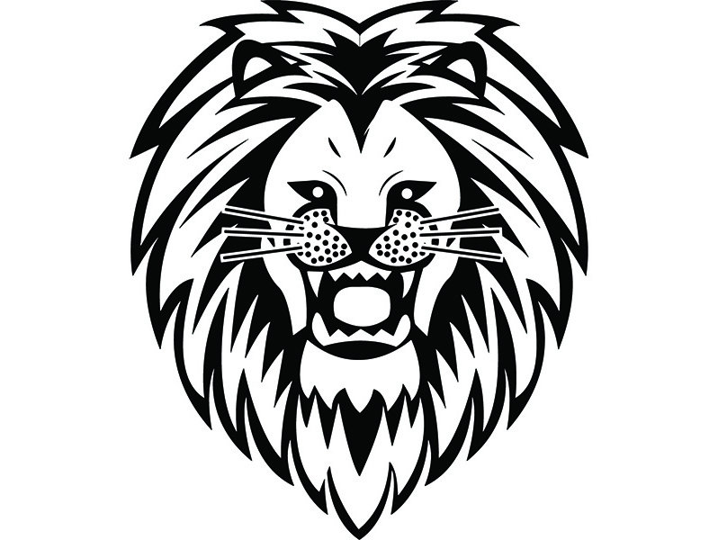 798x600 Lion Mascot Head Face Wild Animal Growling Cartoon College Etsy
