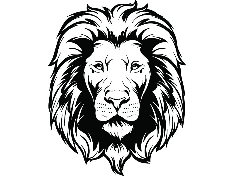 798x600 Lion Tribal Mascot Head Face Wild Animal Growling Cartoon Etsy