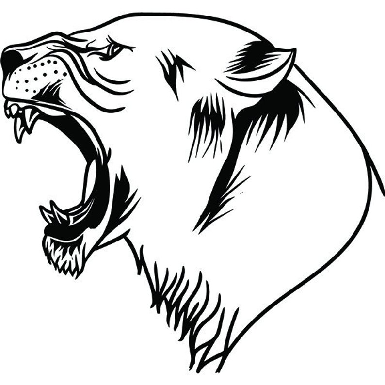 794x794 Lion Wild Animal Growling Angry Mascot Head Face Cartoon Etsy