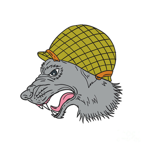 600x600 Grey Wolf Head Growling Helmet Drawing Poster