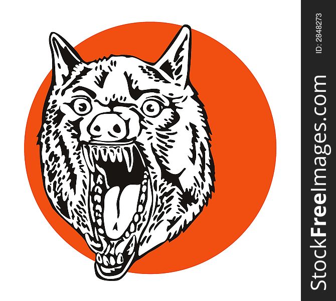 670x600 Growling Grey Wolf