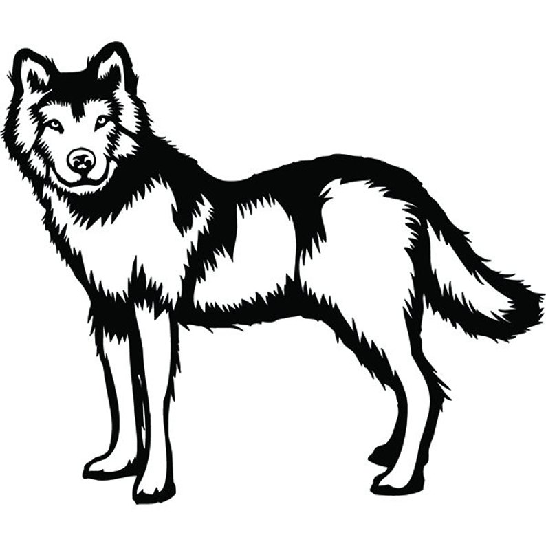 794x794 Wolf Mascot Head Face Animal Growling Howling Cartoon Etsy