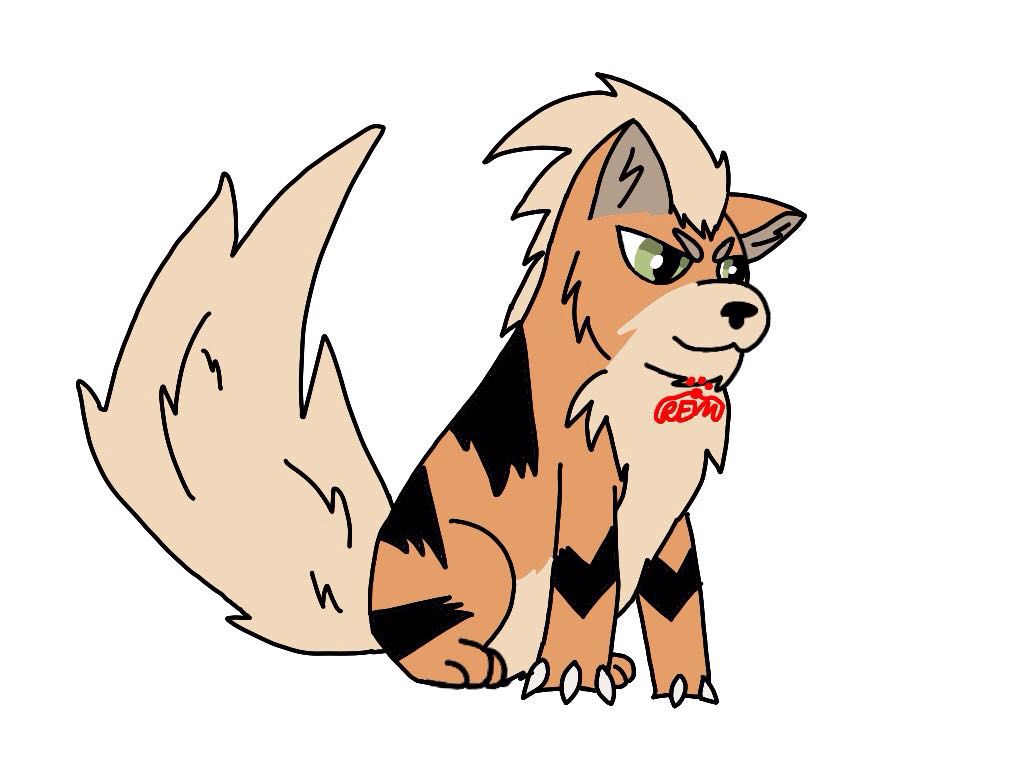 1024x768 Red's Book Of Drawings Book