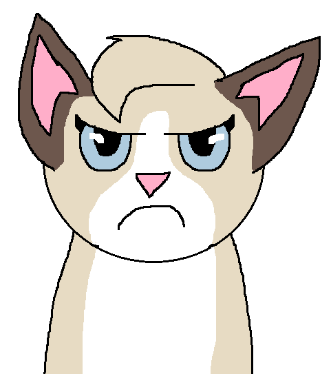 481x543 Grumpy Cat Animation