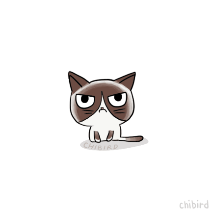 430x430 This Is A Very Silly Animation About Grumpy Cat Shrug