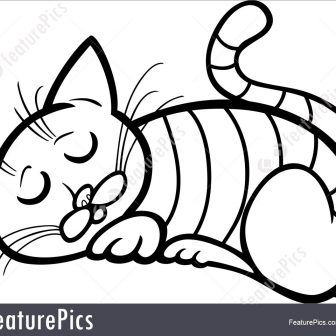 336x336 Cartoon Drawing Of A Cat Grumpy Simple Cute Angry Carmi Chaelinn