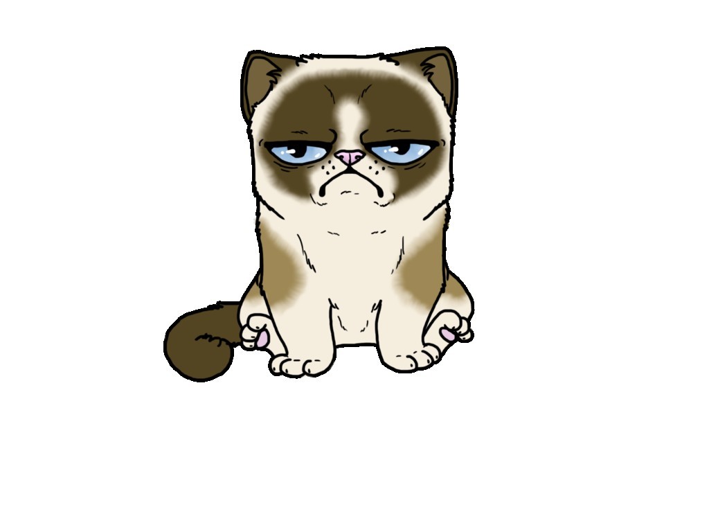 1024x768 Grumpy Cat Coloured