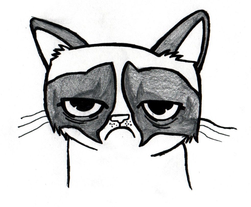 983x813 Grumpy Cat Drawing