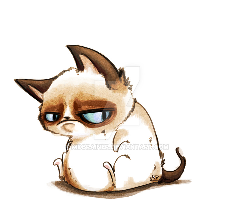 800x704 Grumpy Cat