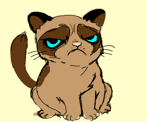 300x250 Grumpy Cat