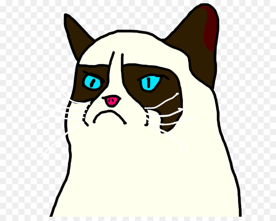 900x720 Download Whiskers Kitten Domestic Short Haired Cat Drawing Grumpy