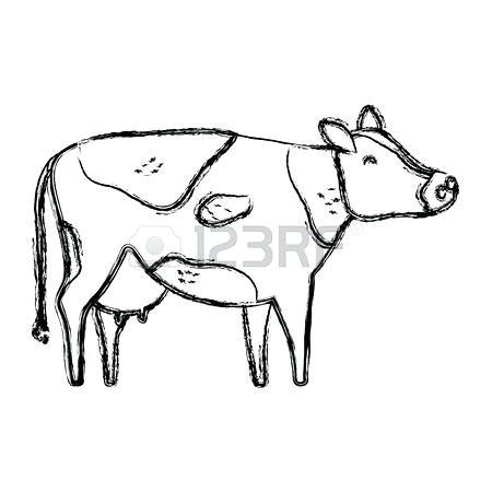 450x450 How To Draw A Cute Cow Step