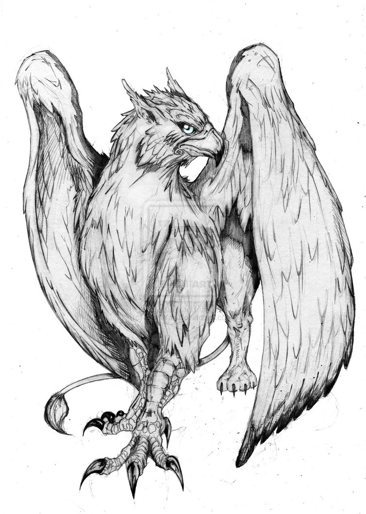 Gryphon Drawing | Free download on ClipArtMag