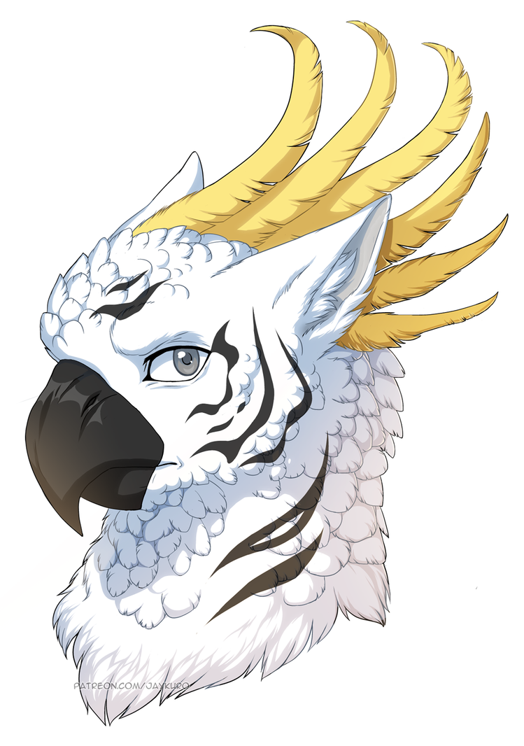 749x1066 gryphon