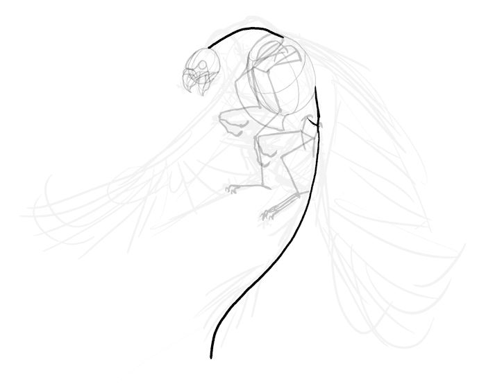 700x557 How To Draw A Griffin