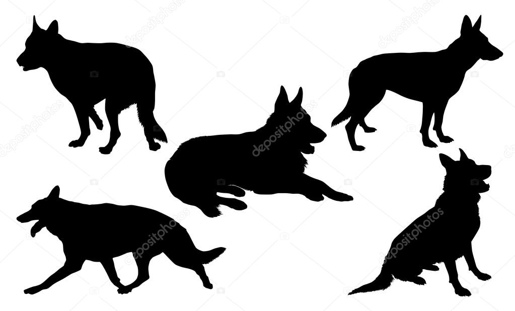 1023x618 German Shepherd Silhouette