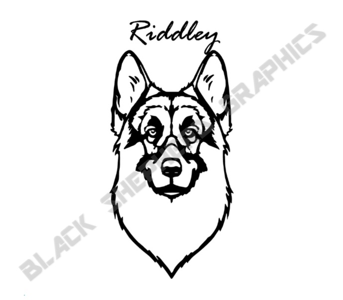 688x602 Custom Gsd Face And Name Decal