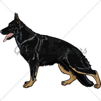 325x325 German Shepherd Black Gl Stock Images