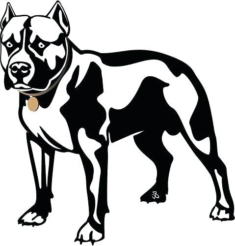 479x500 Drawing Of Pitbull Simple Line Drawing Of A Dog License Personal