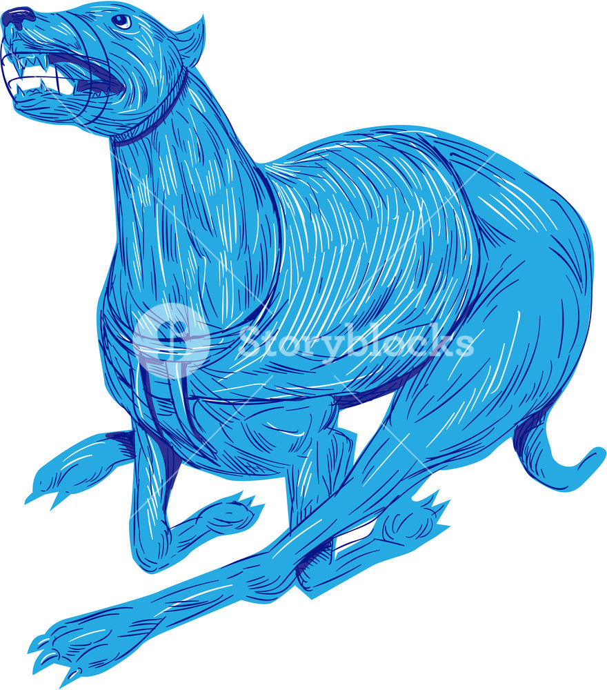 880x1000 Drawing Sketch Style Illustration Of A Greyhound Dog With Mouth