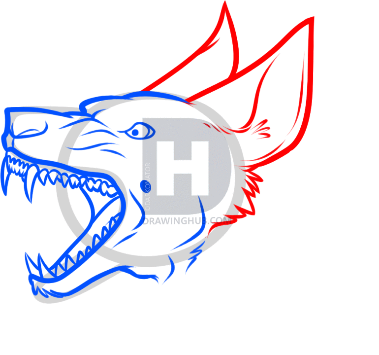 770x720 How To Draw A Guard Dog, Step