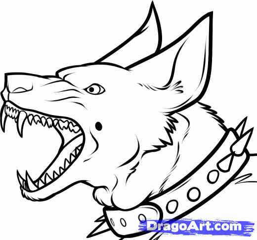 520x486 Step How To Draw A Guard Dog Inktober Ideas Dog Steps