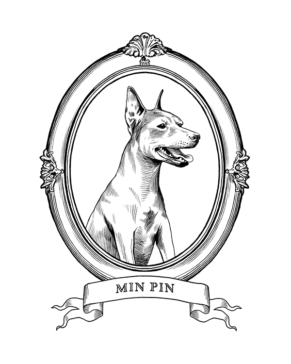 600x750 Dogs On Risd Portfolios